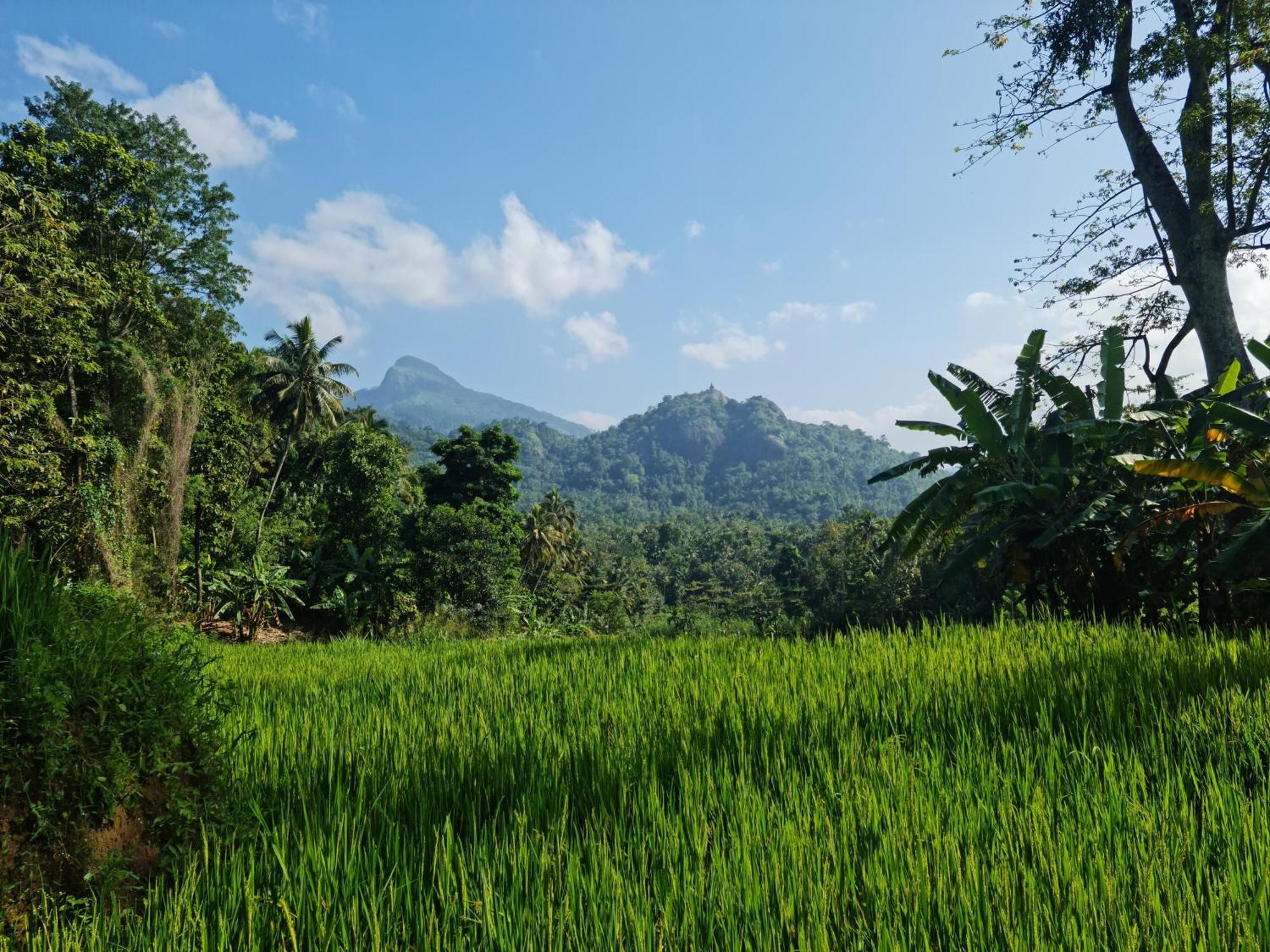 Silver Hill Ecovillage Kurunegala Exterior photo
