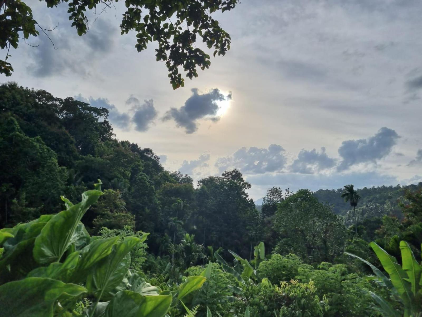 Silver Hill Ecovillage Kurunegala Exterior photo