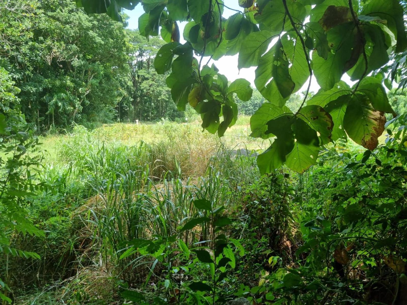 Silver Hill Ecovillage Kurunegala Exterior photo
