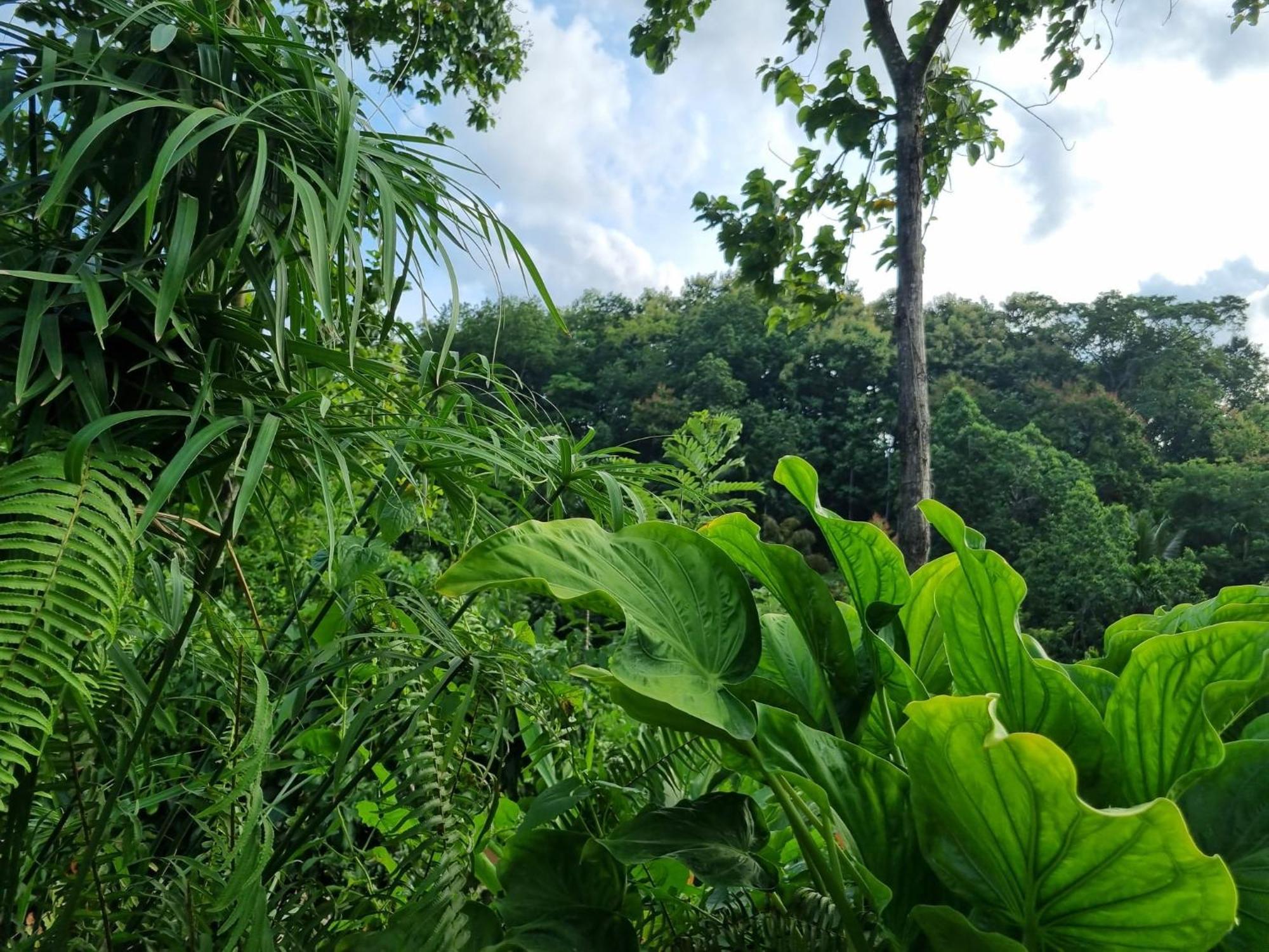 Silver Hill Ecovillage Kurunegala Exterior photo