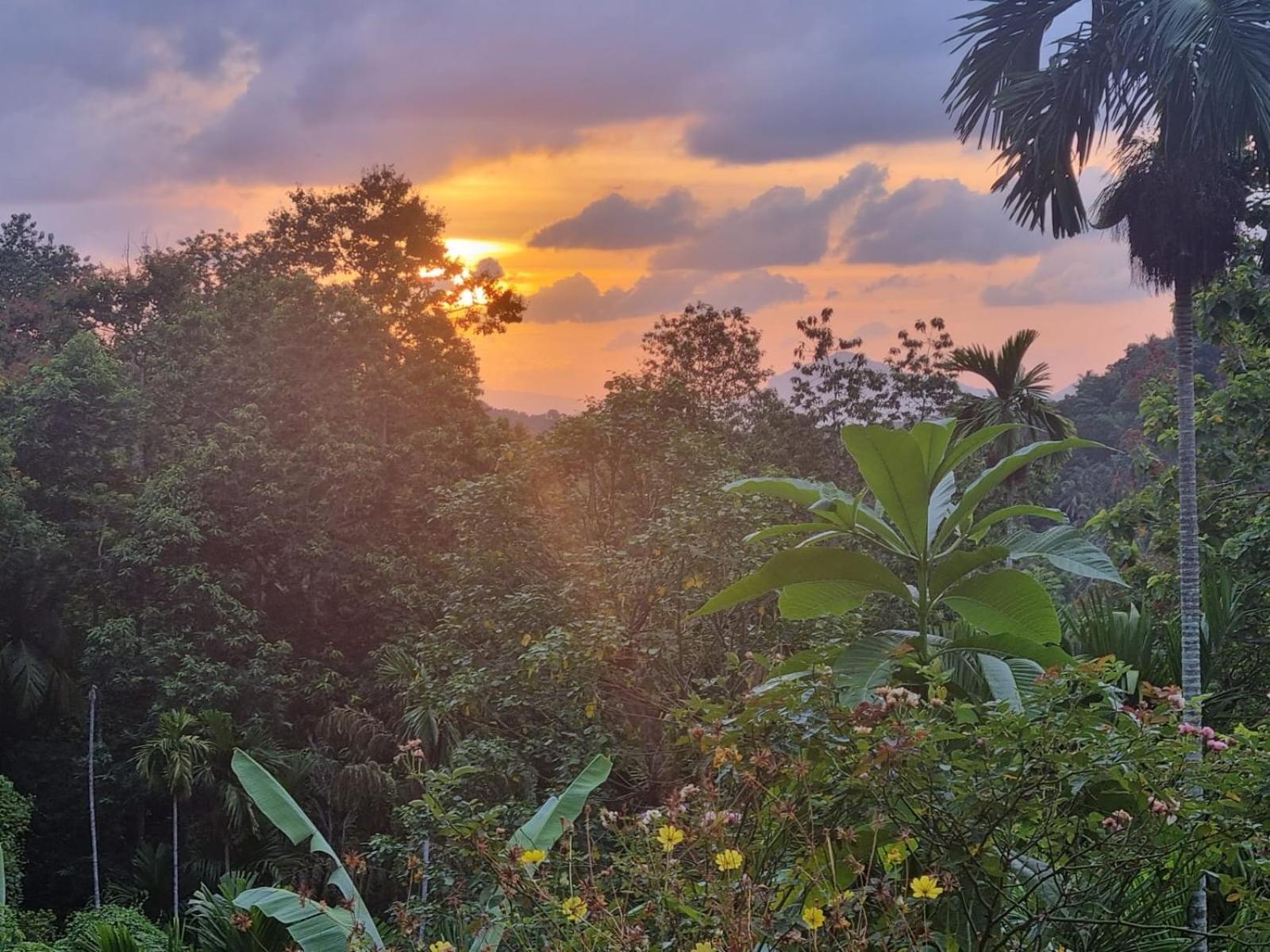 Silver Hill Ecovillage Kurunegala Exterior photo