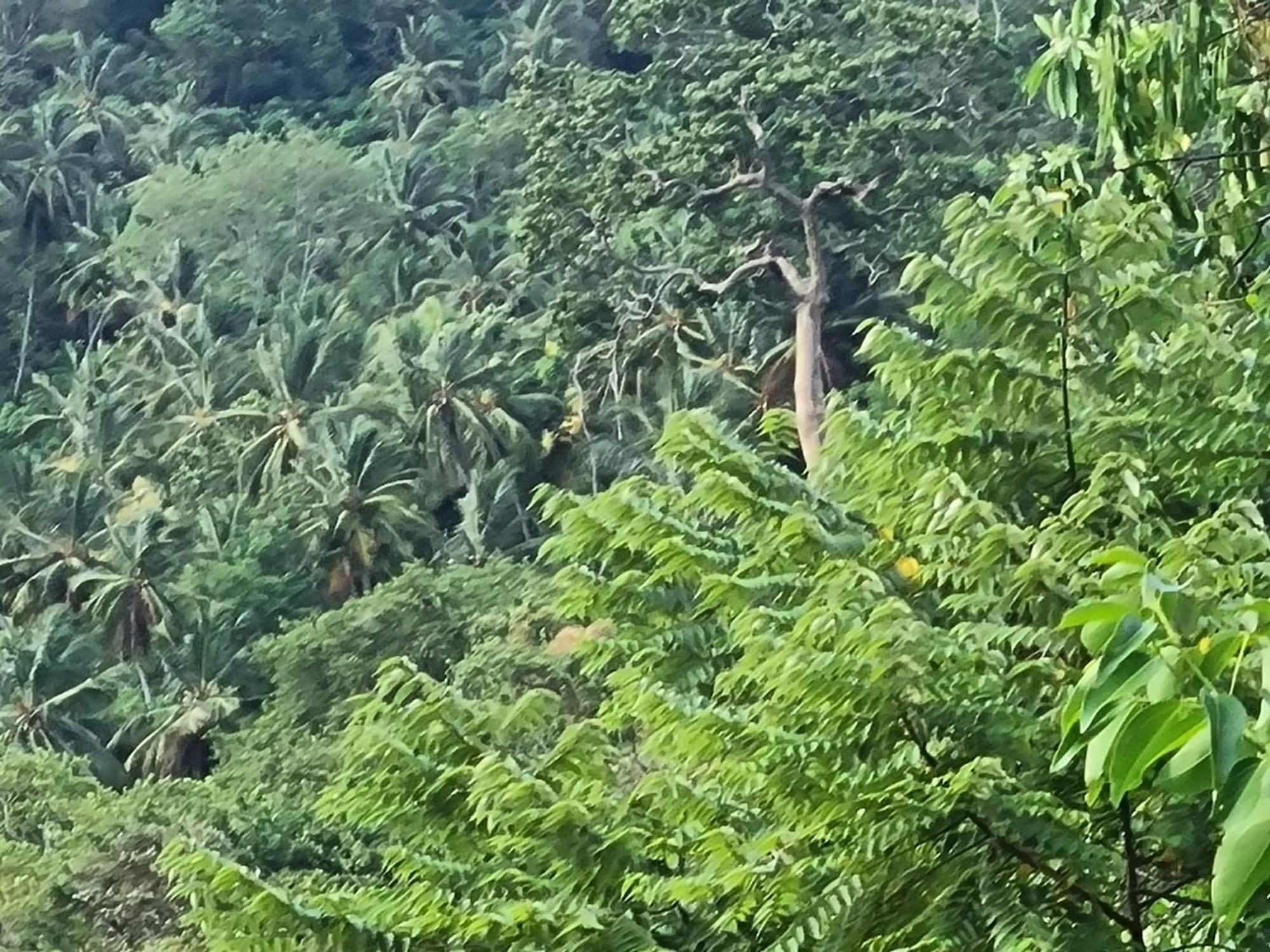 Silver Hill Ecovillage Kurunegala Exterior photo