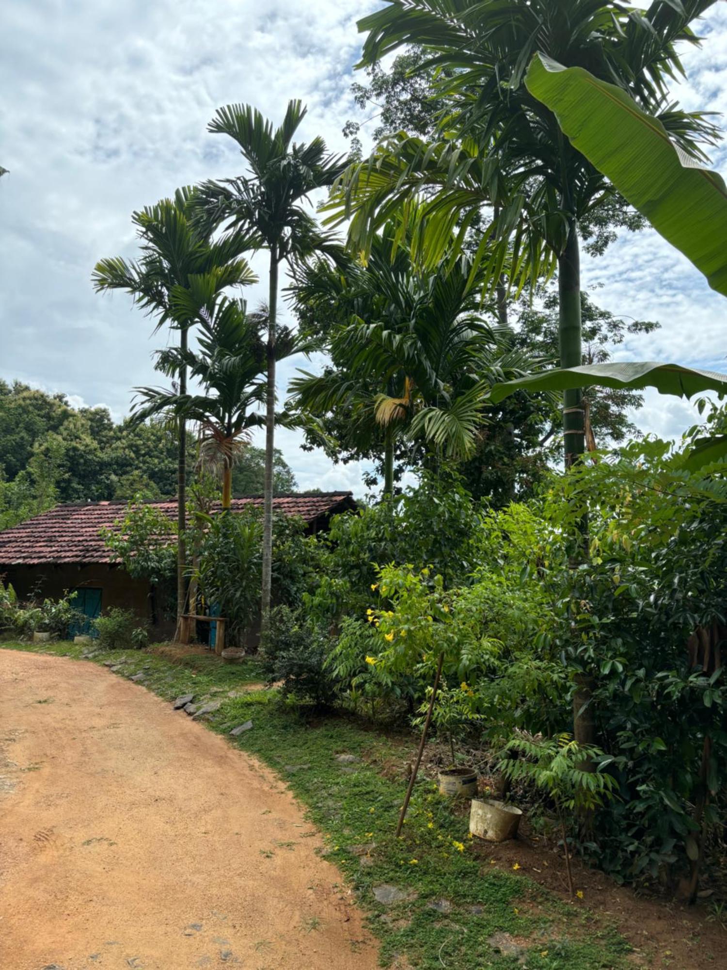 Silver Hill Ecovillage Kurunegala Exterior photo